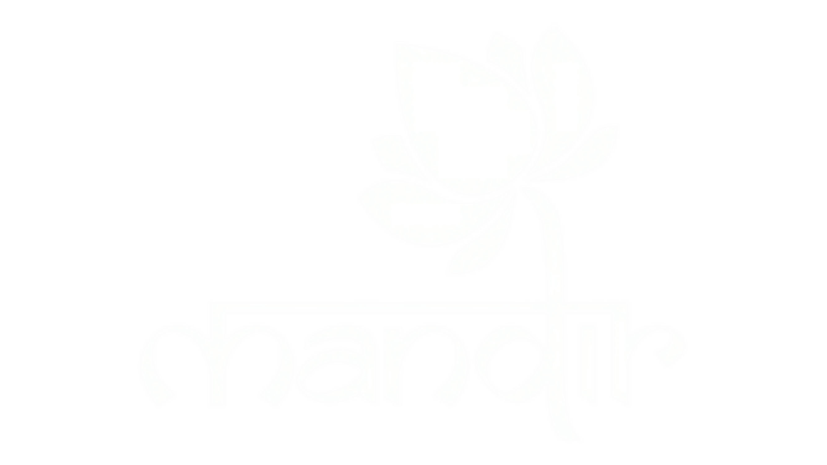 Brand logo 4
